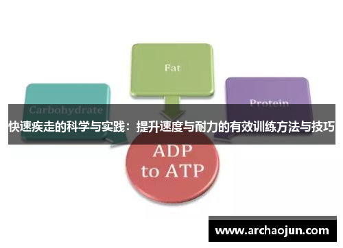 快速疾走的科学与实践：提升速度与耐力的有效训练方法与技巧